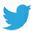 Twitter icon